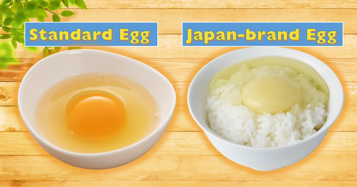 White egg-yolk, Japanese branded egg Kometsuya® | | Salam Groovy Japan