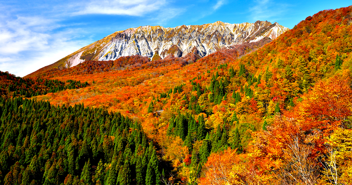 Mt. Daisen in western Tottori covered in 